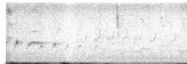 Gray-crowned Yellowthroat - ML617174624