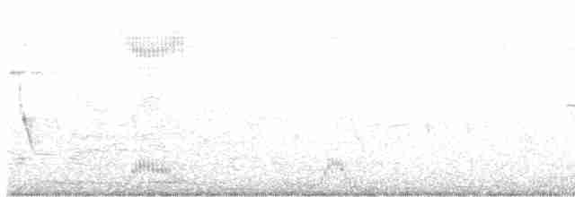 Талпакоті сіроголовий - ML617174861