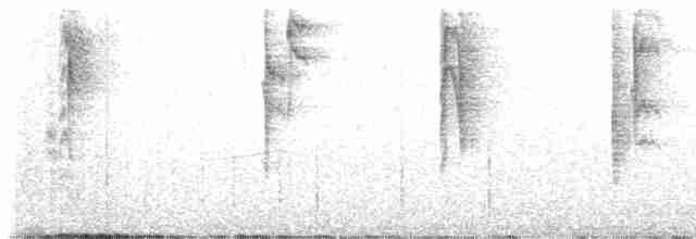 kalypta jemná - ML617175018