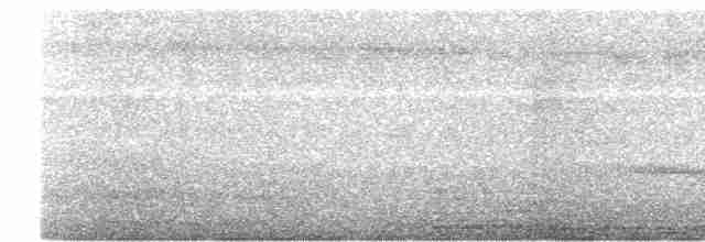 ハネアシユビアナツバメ - ML617176329