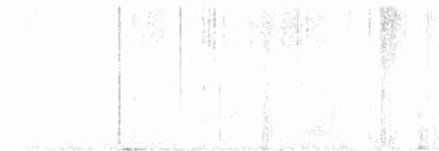 Серошапочный пиохито - ML617176698