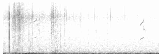 Крячок рябодзьобий (підвид sandvicensis) - ML617178035