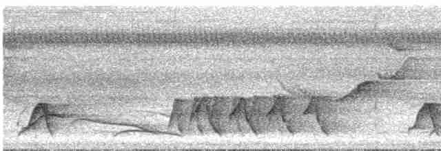 Troglodyte coraya - ML617178610