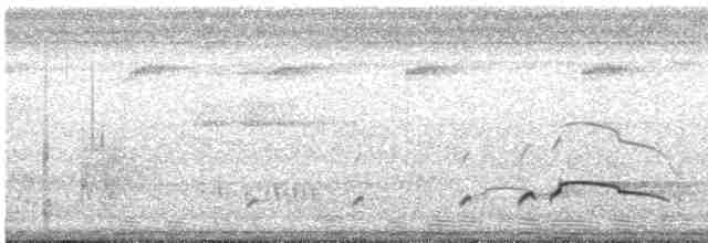 Орел-чубань чорний - ML617180115