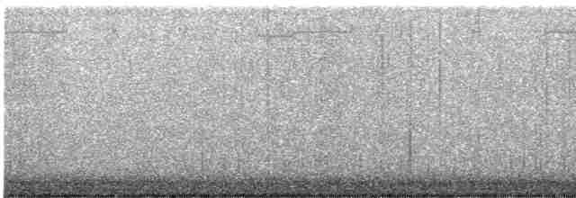 Turuncu Ardıç - ML617180448