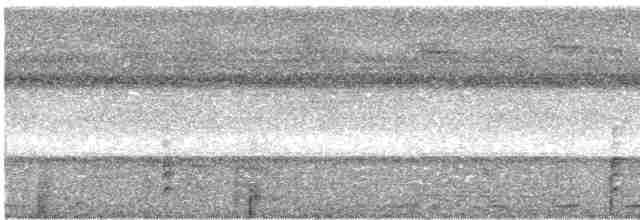 holub ametystový - ML617180867