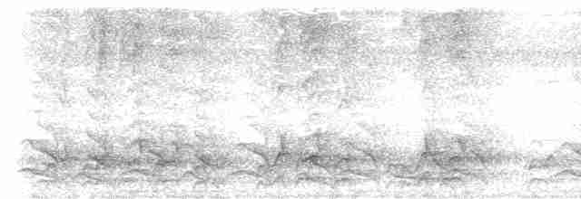 kvesal chocholatý (ssp. mocinno) - ML617181090