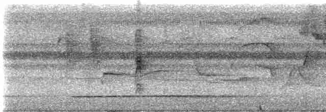 Great Tinamou - ML617181353