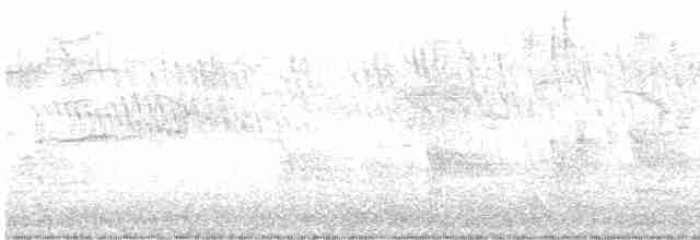 Омелюх звичайний - ML617181569