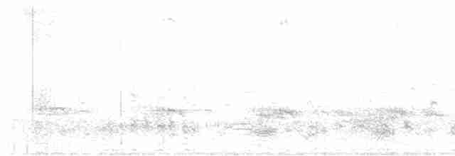 Uroilanda handia - ML617181781