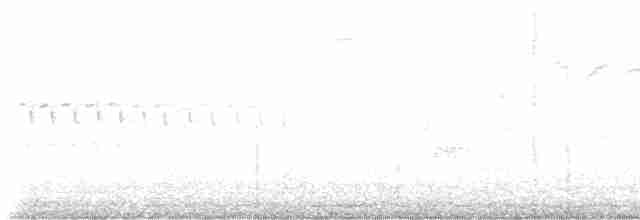 Серый юнко (Серый) - ML617182344