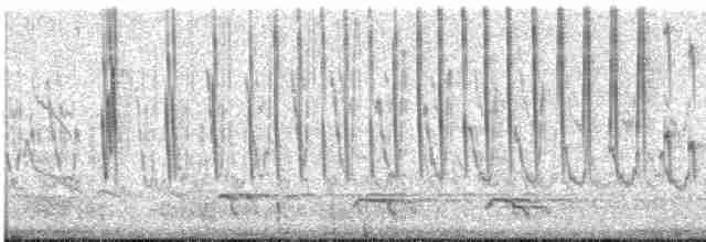 Колібрі-плямохвіст фіолетовоголовий - ML617182712