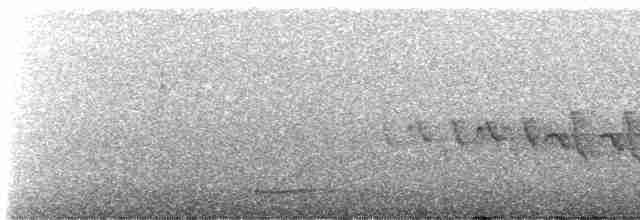 Белокрылая канделита - ML617182720