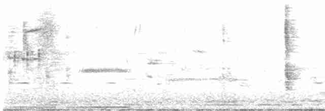 Kara Gözlü Junko (hyemalis/carolinensis) - ML617184403