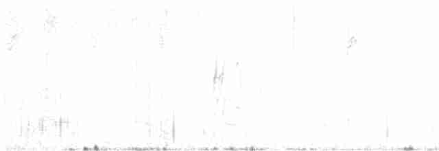 Серогрудый трескунчик - ML617184623