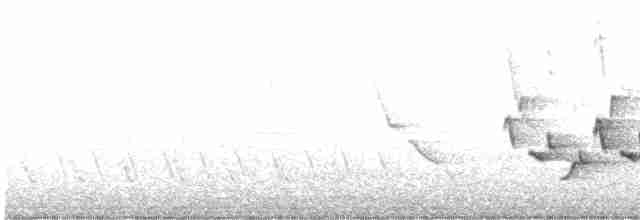 Каролинский крапивник - ML617186332