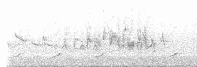 Braunaugenvireo (pusillus) - ML617186595