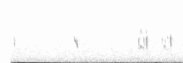 Gray Silky-flycatcher - ML617186973
