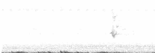 Папуга-довгокрил бурошиїй (підвид suahelicus) - ML617187015