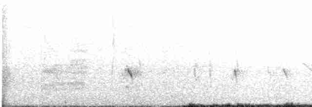 Cuitlacoche Ocelado - ML617187261