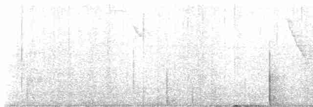 Kara Gözlü Junko (hyemalis/carolinensis) - ML617187338