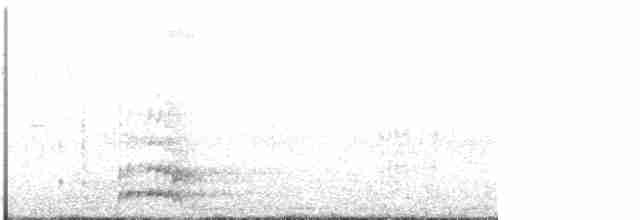 Gallinule poule-d'eau - ML617187545