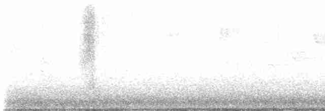 Worm-eating Warbler - ML617187679