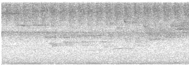 白喉林鴿 - ML617190365