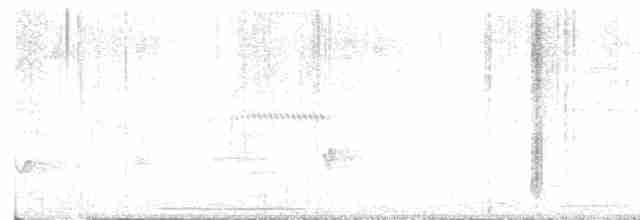 holub bledočelý - ML617191278