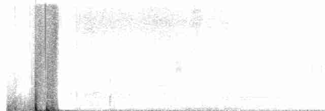 Geai des pinèdes - ML617192106
