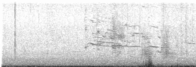 Сула атлантична - ML617193204
