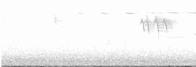 Белобровая овсянка (pugetensis) - ML617193362