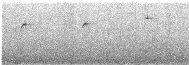 kolibřík blankytohrdlý - ML617193493