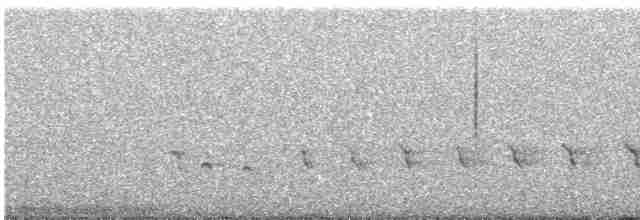 Орел-карлик малий - ML617194128