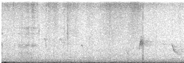 Cuitlacoche Ocelado - ML617194468