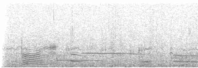 potápka bělouchá - ML617195386