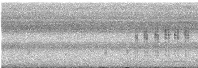 Balearengrasmücke - ML617195689