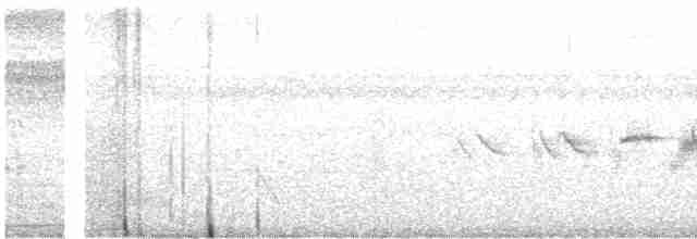 Зерноїд мальований - ML617195899