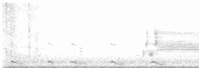 Пестроклювая поганка - ML617197954