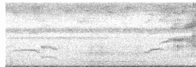 Сипуха темно-бура - ML617199148