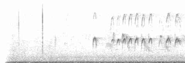 Американский бекасовидный веретенник - ML617200508