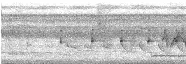 Белокрылая сорокопутовая танагра - ML617201104