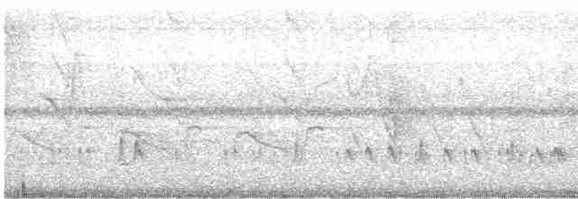 Тиран-крихітка світлогорлий - ML617201687