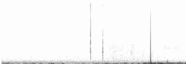 Длиннохвостый крапивник - ML617202265