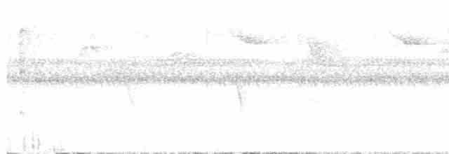 Тиран-інка буроголовий - ML617204192
