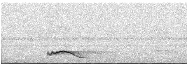 Ecuadornachtschwalbe - ML617205004