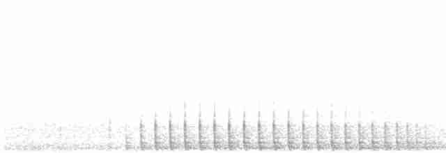アメリカミユビゲラ（dorsalis） - ML617206417