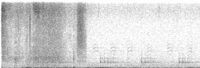 Дятел-смоктун сосновий - ML617207344
