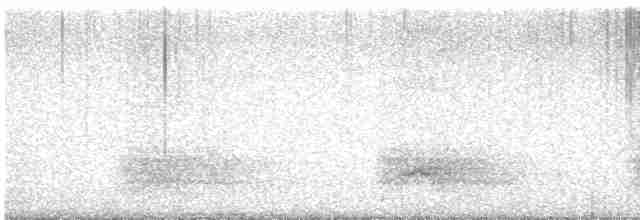 Дятел-смоктун сосновий - ML617207347