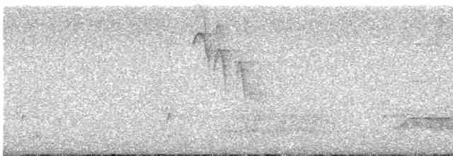 Дятел-смоктун сосновий - ML617207348